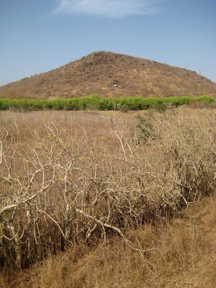 Sénou Senegal