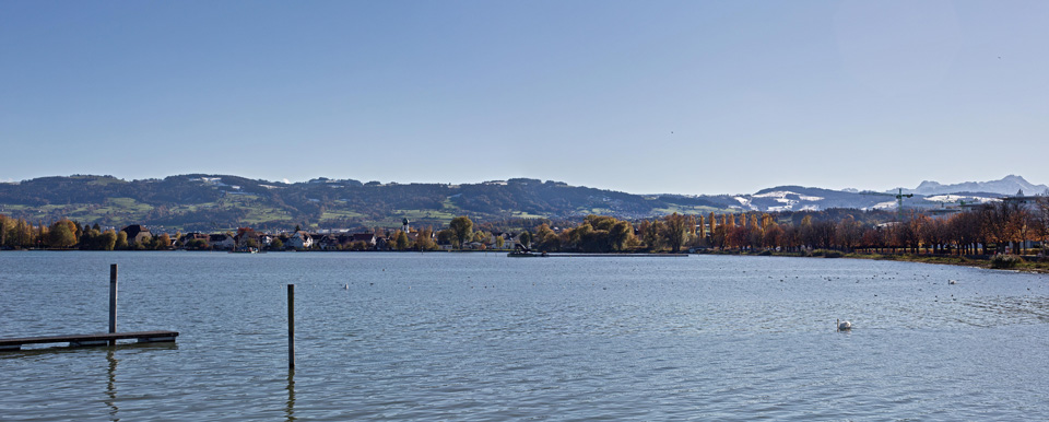 Wohnhäuser Seesicht Arbon