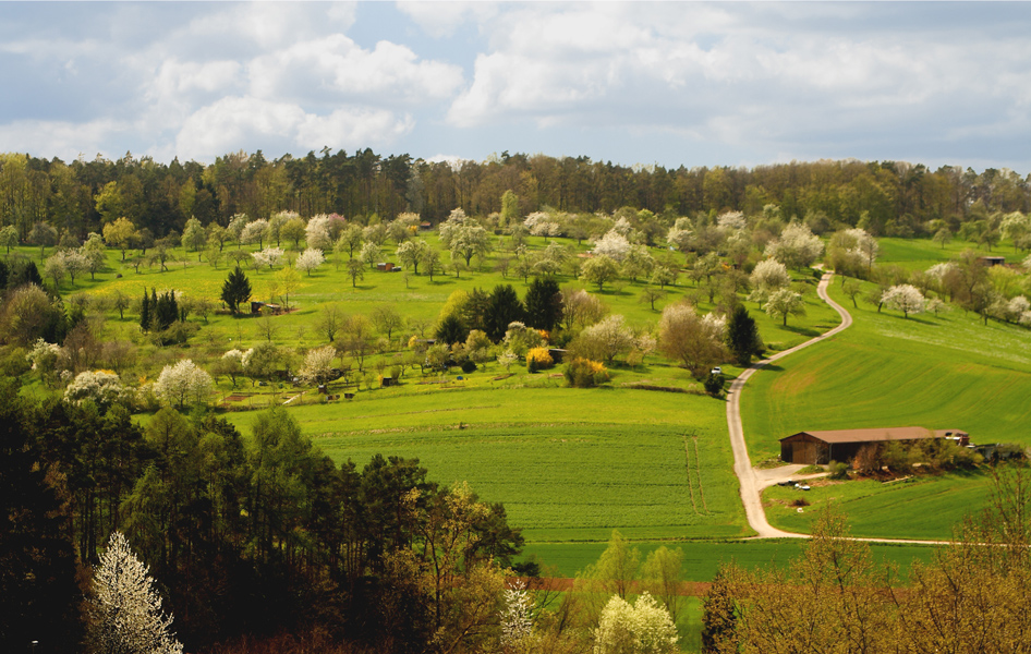 Wohnüberbauung Eggen Luzern