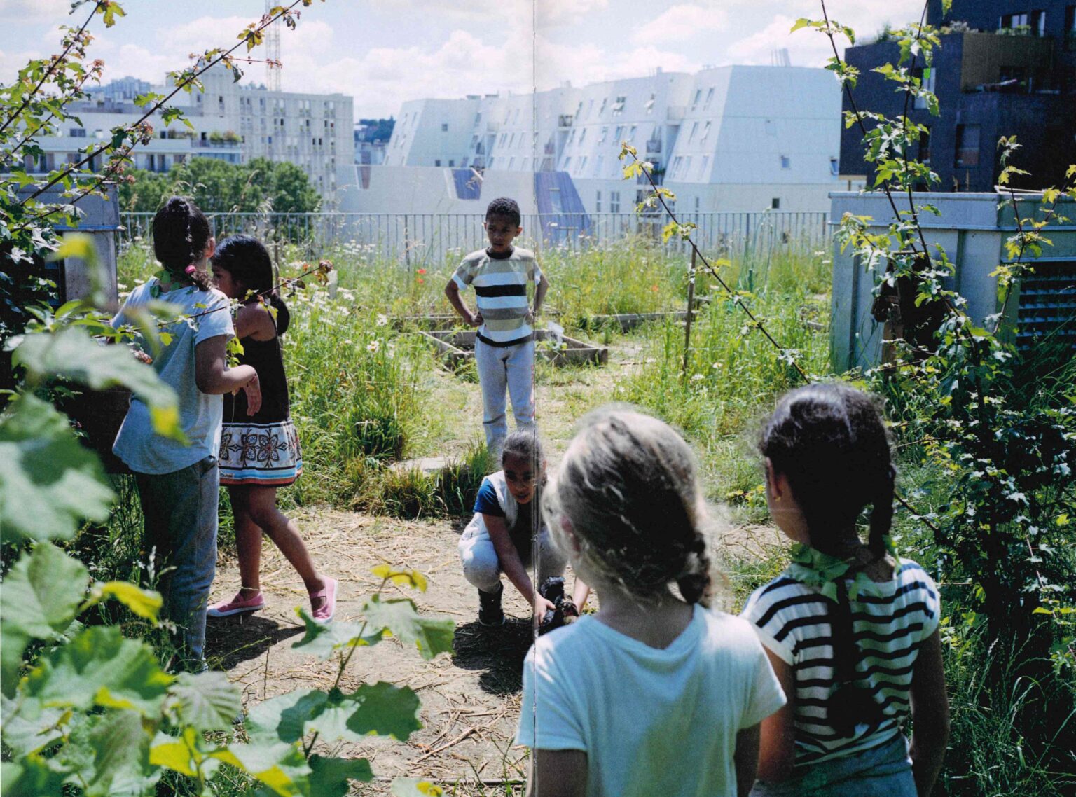 Dachgarten Dreieck Zürich