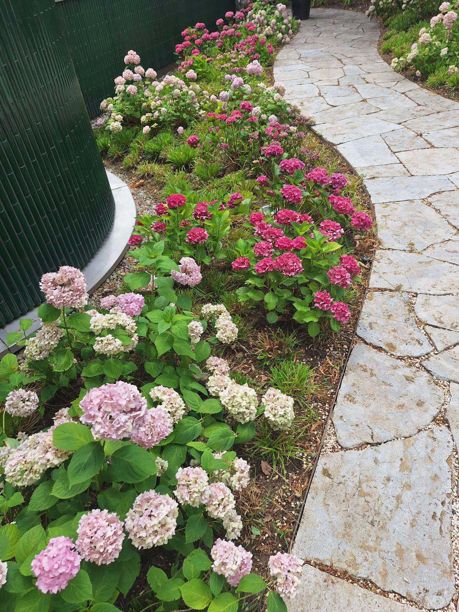 Garten Bruderholzallee Basel