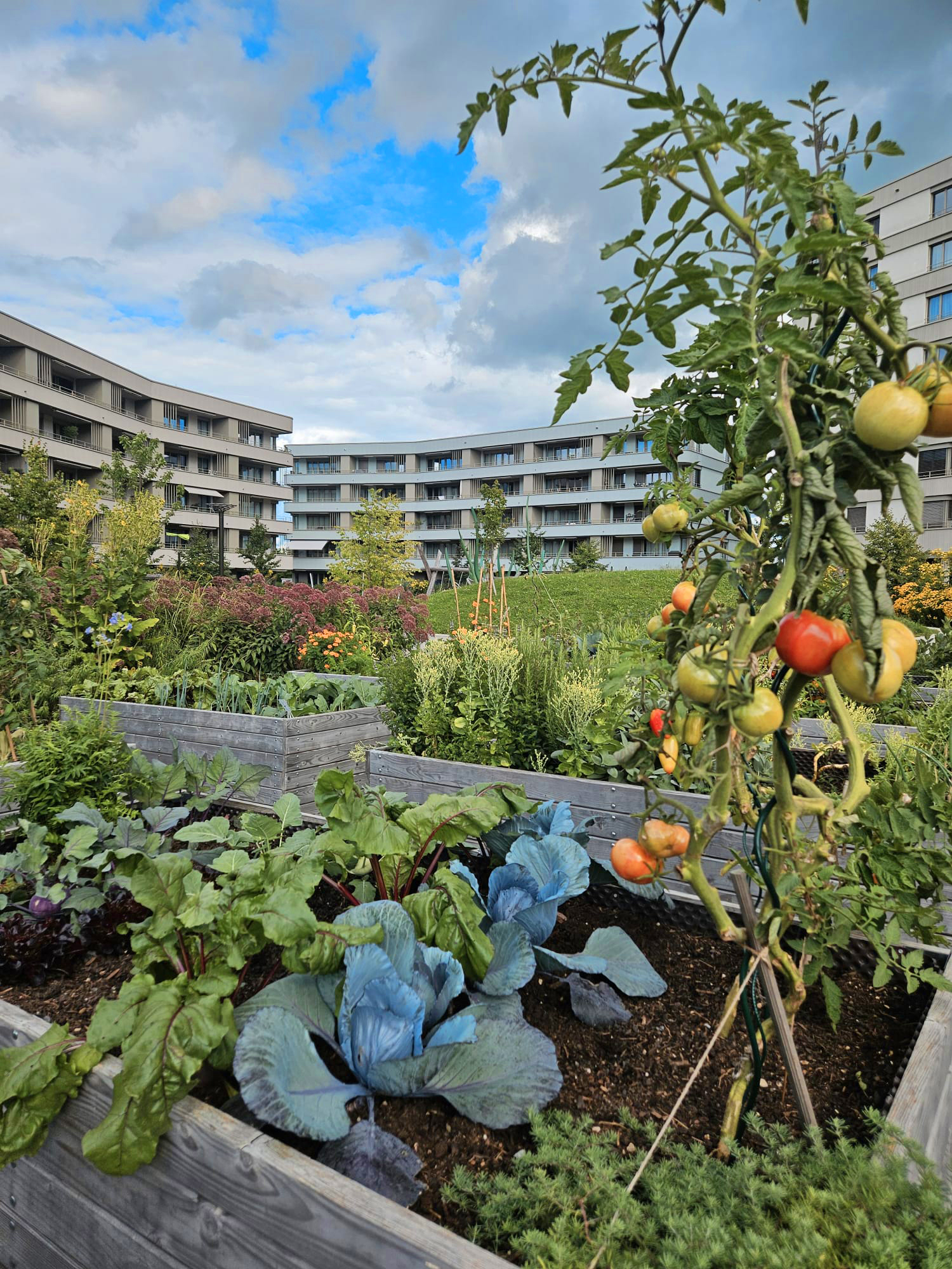 Wohnüberbauung Hirzenpark Uzwil